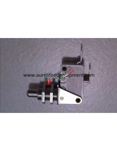door microswitch for Nerone convection oven 4 GN 1/1