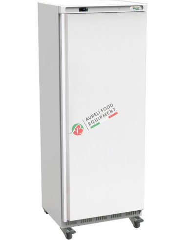 Refrigerated cabinet with ventilated refrigeration temperature -18/-22°C on wheels mod. G-EF700 - capacity 641L