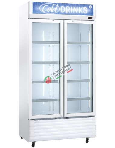 Ventilated glass door display cabinet 2 hinged doors with LED light capacity 597L dim. 1000Lx610Px2020H mm D ener. class
