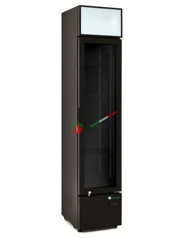 Static glass door cabinet capacity 162L L dim. dim. 390x480x1888H mm - black color