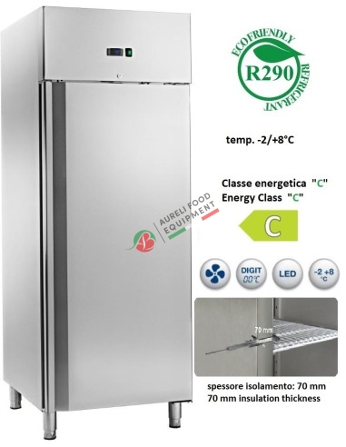 Armadio frigorifero ventilato GN 2/1 gas ecologico capacità 650 L - isolamento 7 cm