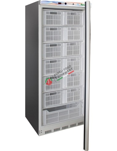 Upright fridge temp. -18-22°C with 13 drawers - stainless steel external structure - capacity 555 L