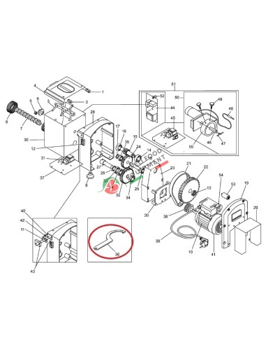 Key for mod. MPF25N-25CN pasta machine pos. n. 36
